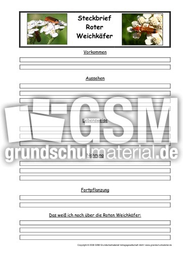 Roter-Weichkäfer-Steckbriefvorlage.pdf